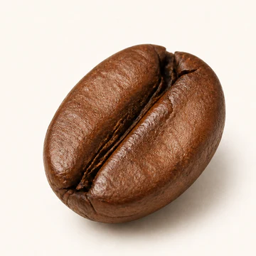 دانه قهوه با رُست متوسط